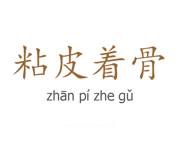 粘皮着骨