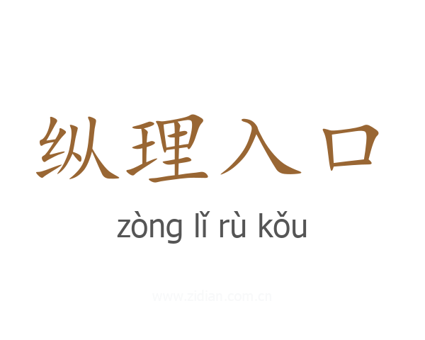 纵理入口