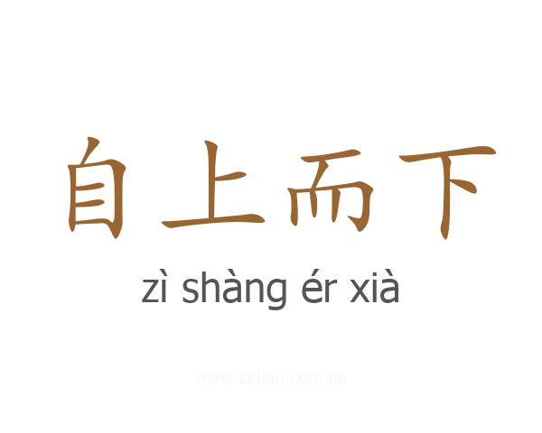 自上而下