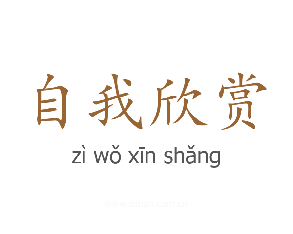 自我欣赏