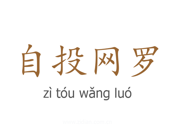 自投网罗