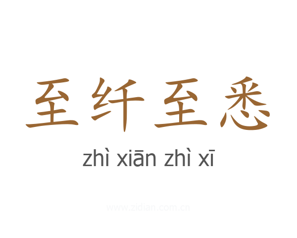 至纤至悉
