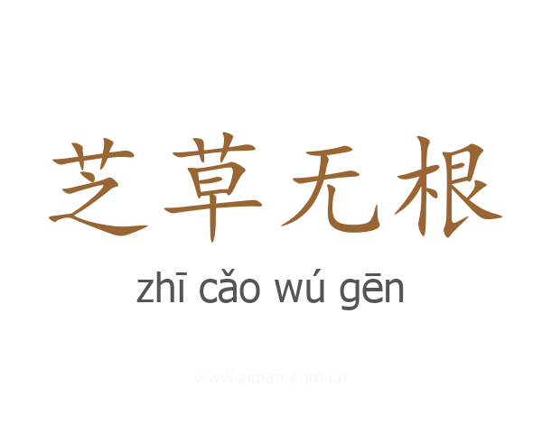 芝草无根
