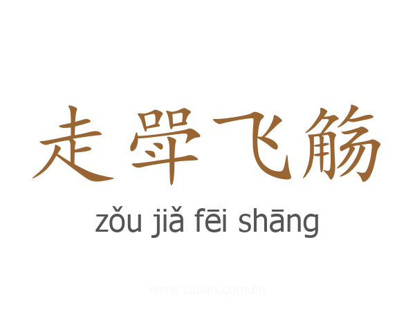 走斝飞觞