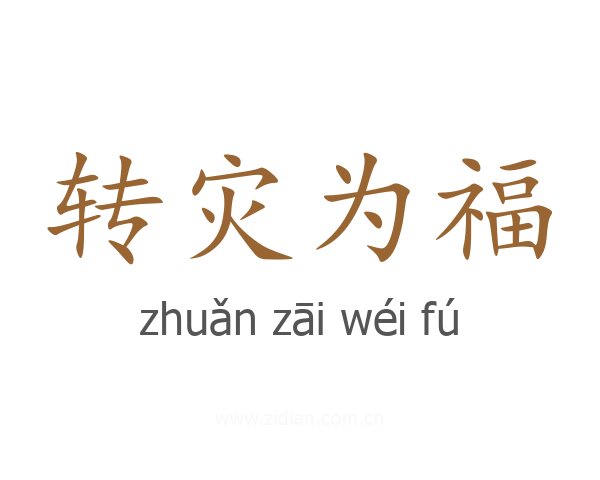 转灾为福