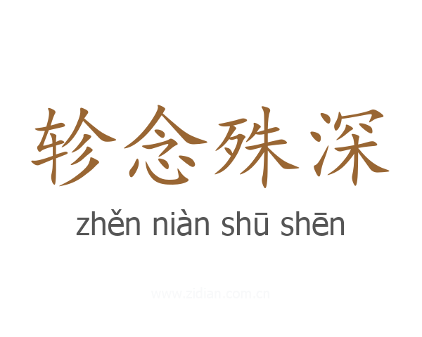 轸念殊深