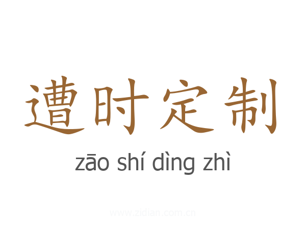 遭时定制