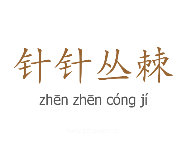 针针丛棘