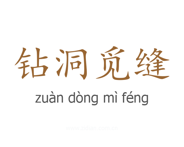 钻洞觅缝