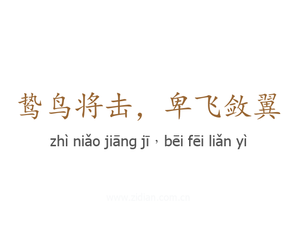 鸷鸟将击,卑飞敛翼