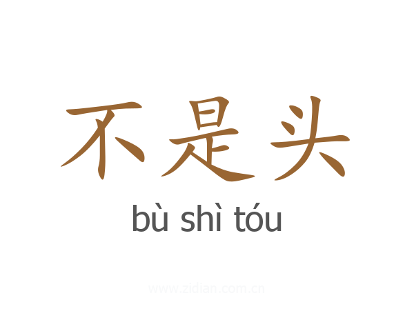 不是头