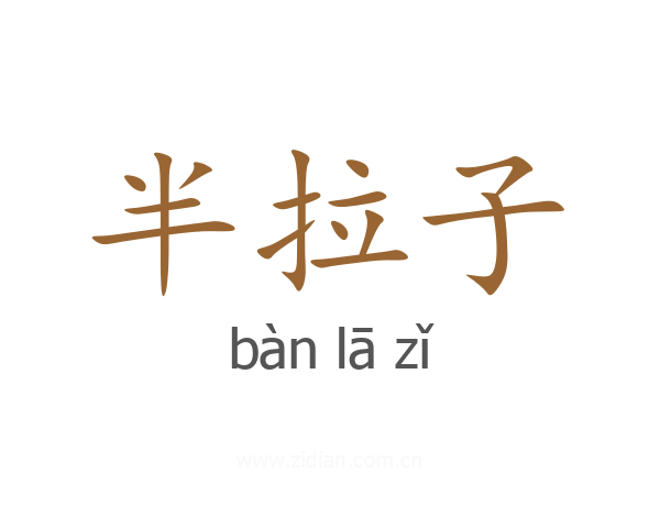 半拉子
