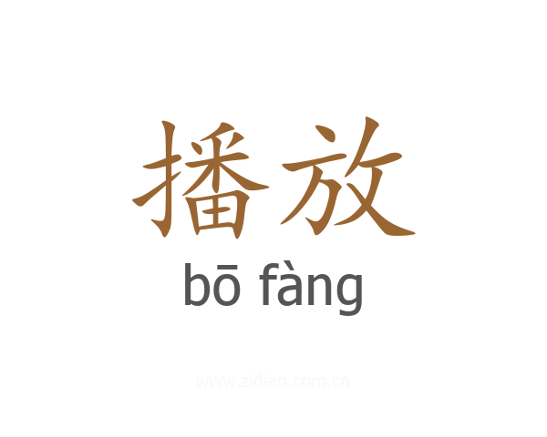 播放