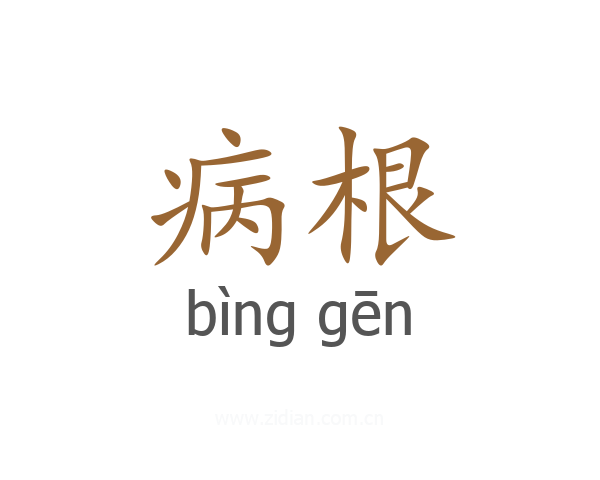 病根