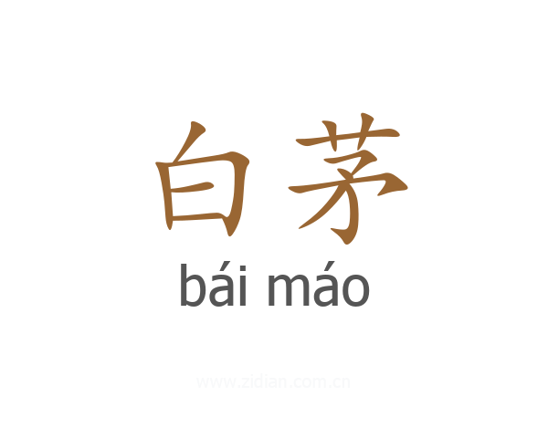 白茅