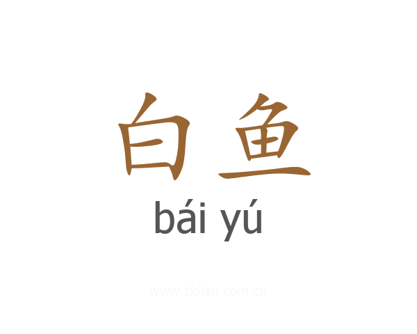 白鱼