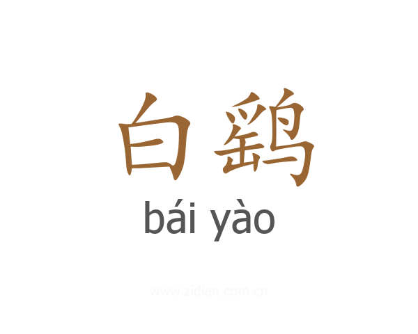 白鹞