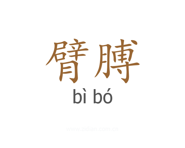 臂膊