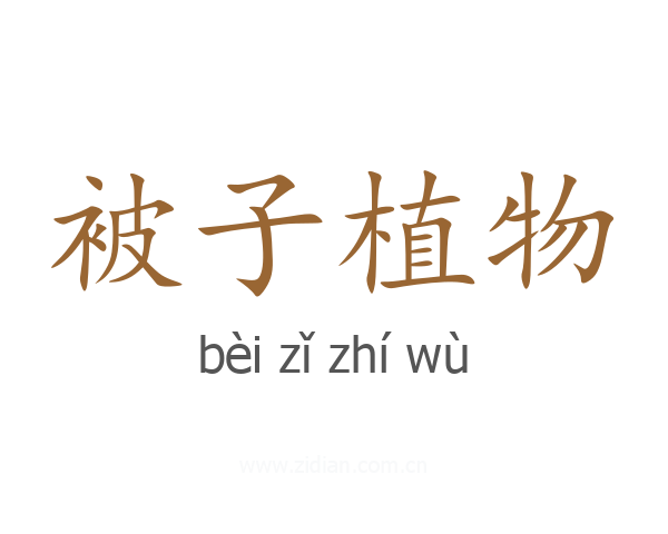 被子植物