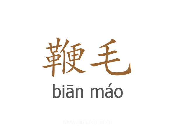 鞭毛