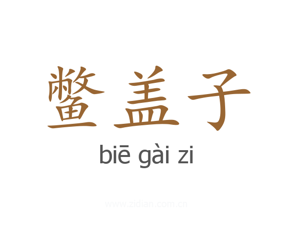 鳖盖子
