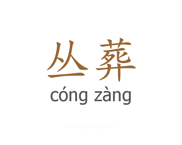 丛葬