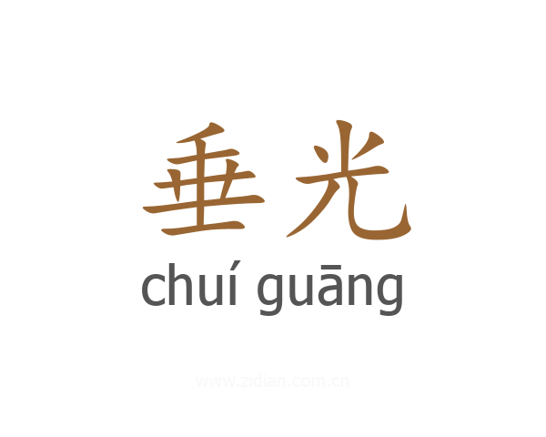 垂光