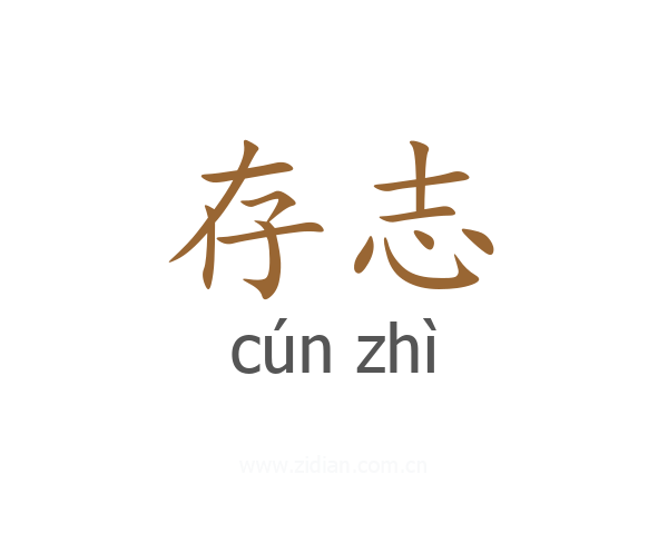 存志