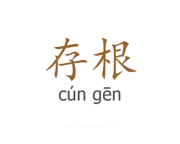 存根