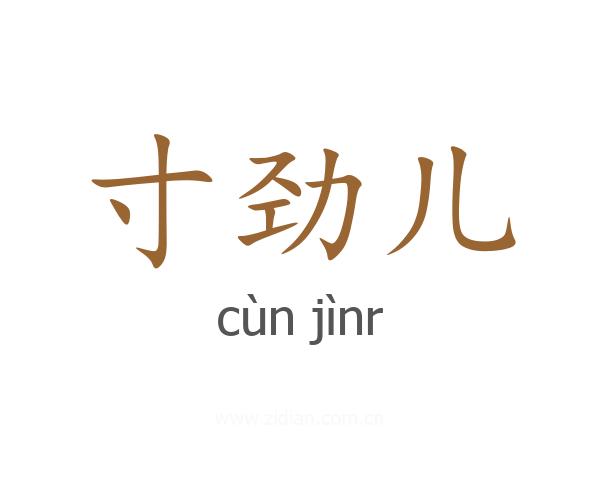 寸劲儿