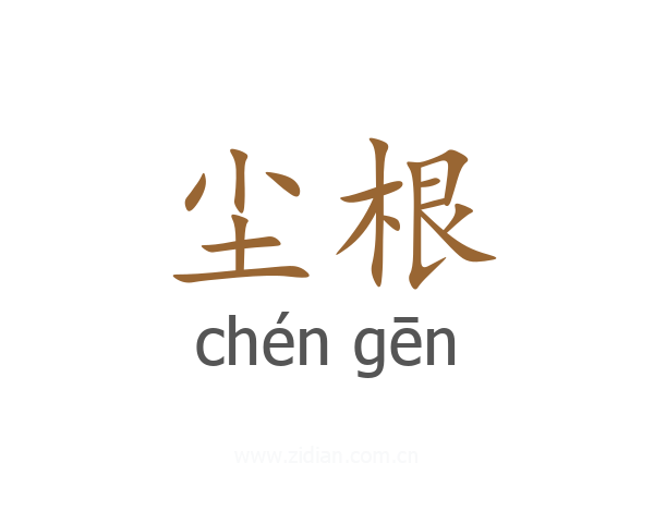 尘根