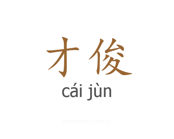 才俊