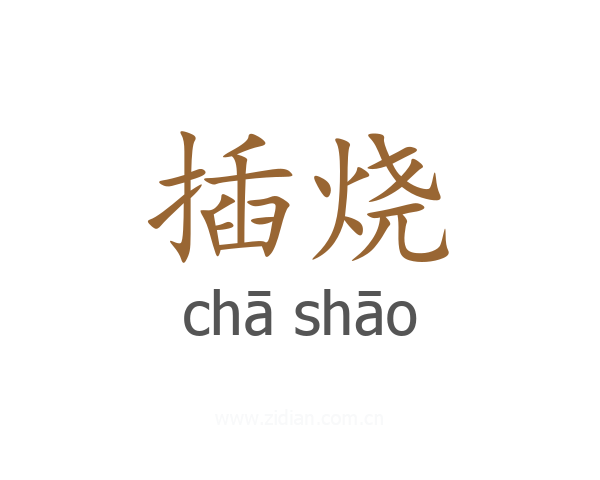 插烧