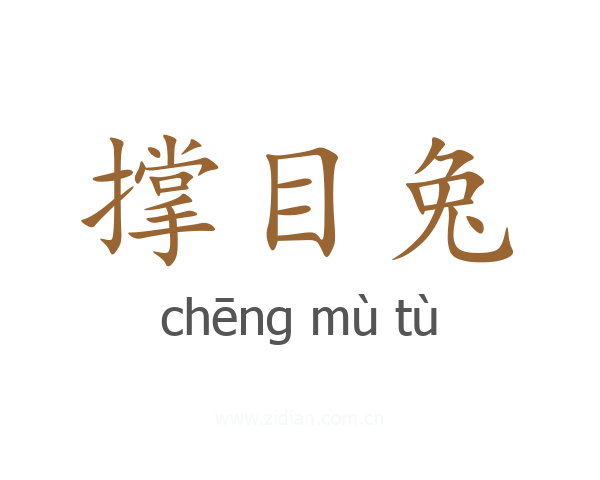 撑目兔