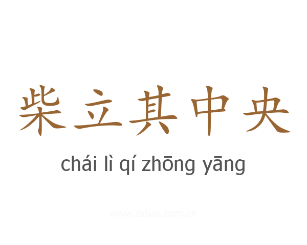 柴立其中央