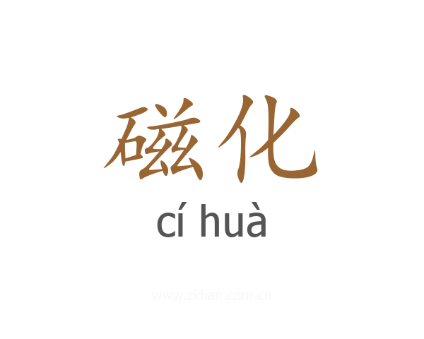 磁化