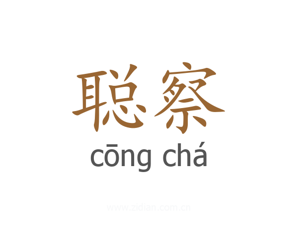 聪察