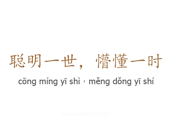 聪明一世,懵懂一时