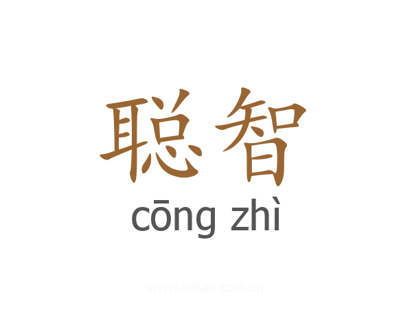 聪智
