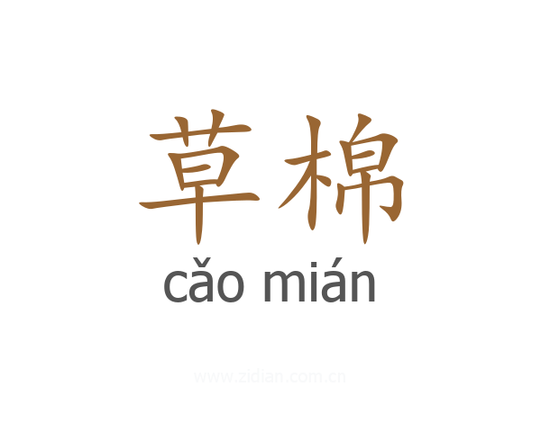 草棉