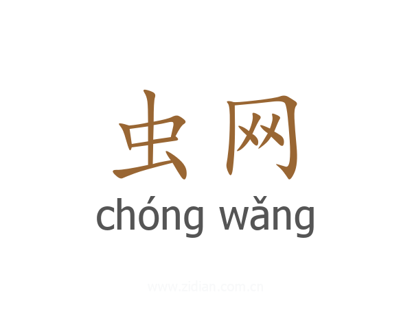 虫网