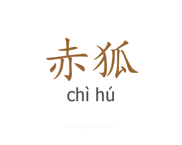 赤狐