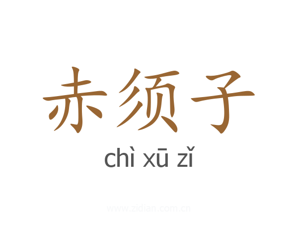 赤须子