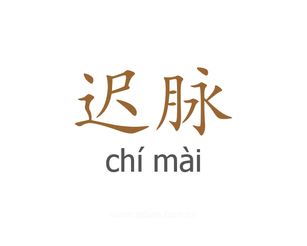 迟脉