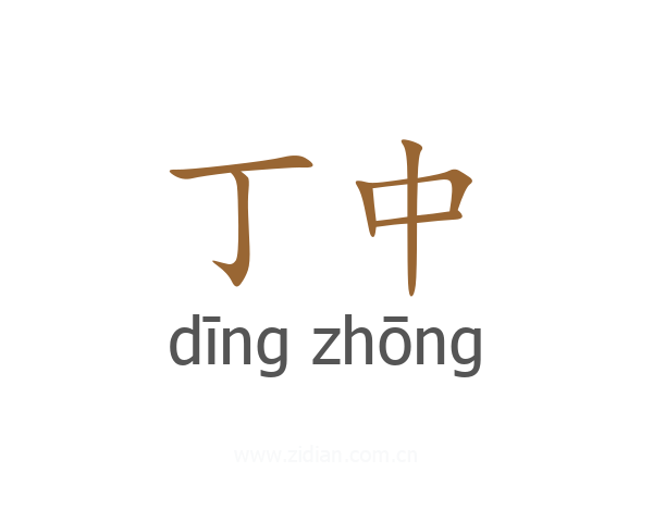 丁中