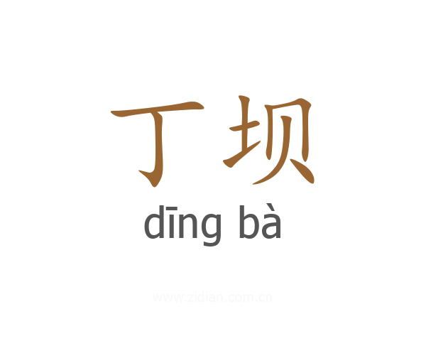 丁坝