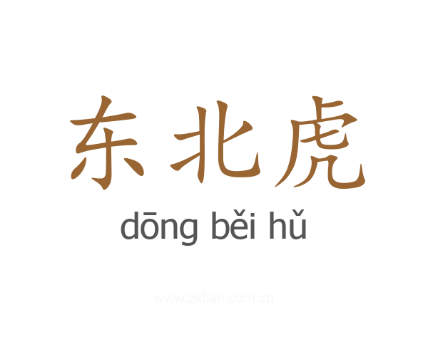 东北虎
