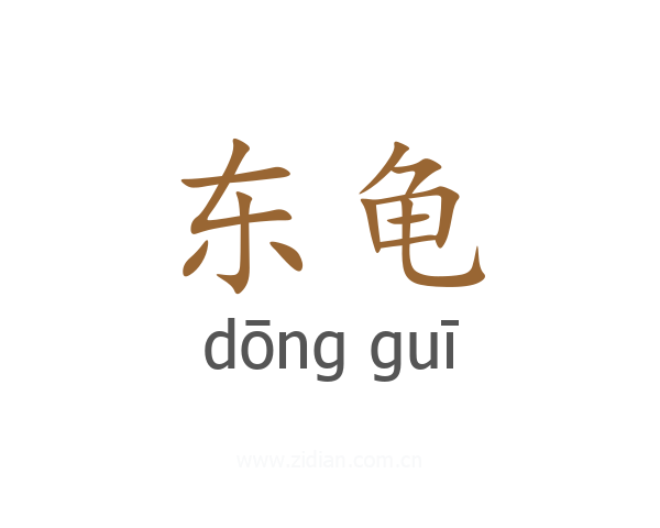 东龟