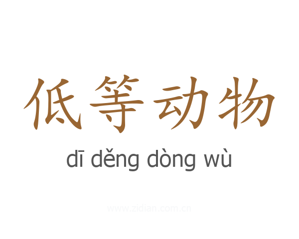 低等动物