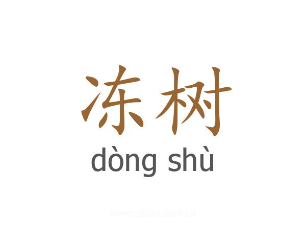 冻树